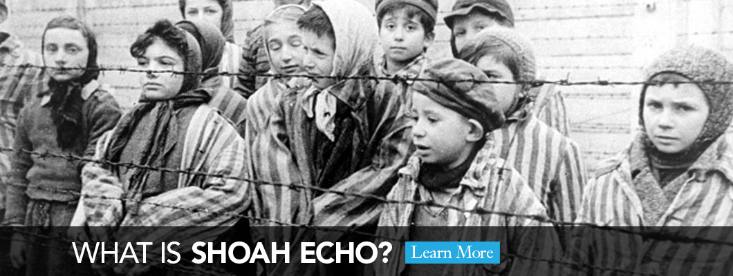 What Is Shoah Echo?